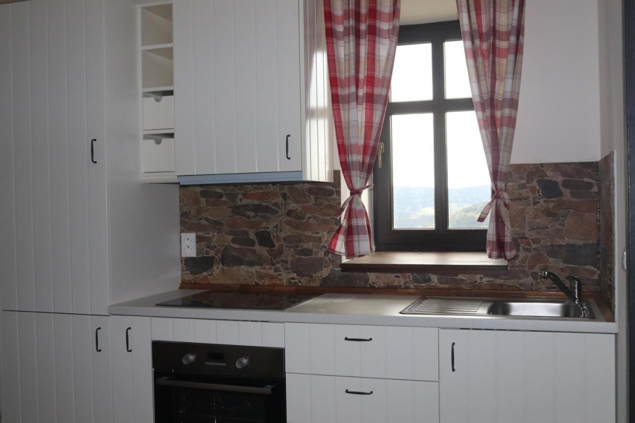 Apartmany Kynast Albrechtice v Jizerskych horach Exterior foto