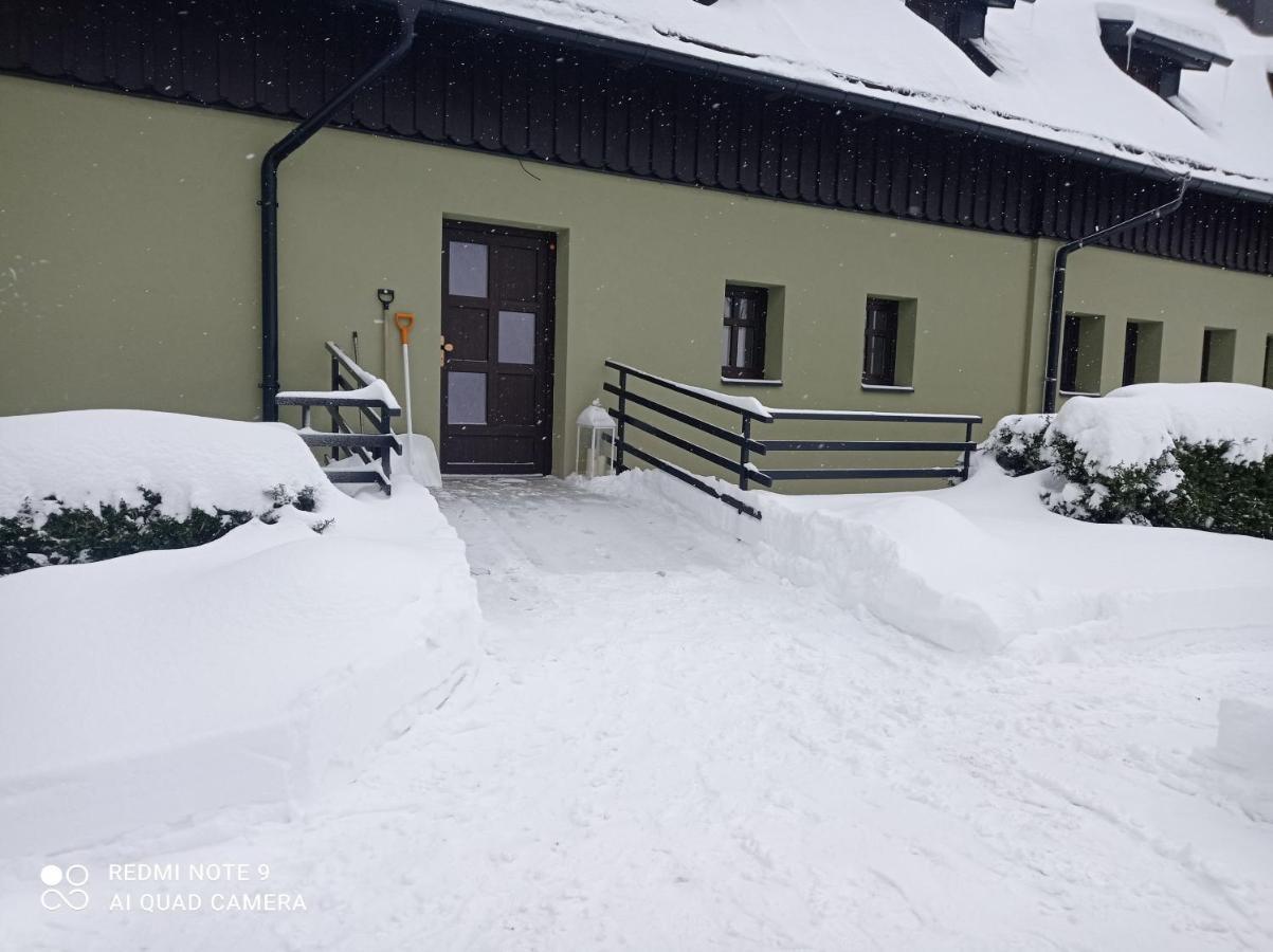 Apartmany Kynast Albrechtice v Jizerskych horach Exterior foto
